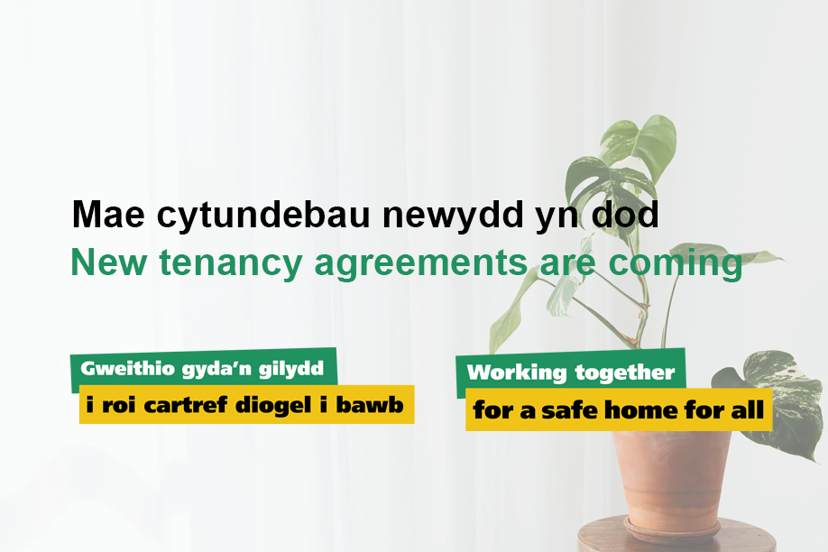 Rhentu Cartrefi: Mae cytundebau tenantiaeth newydd yn dod