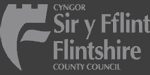 Flintshire County Council